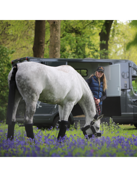 Bandes De Repos Kentucky Noir