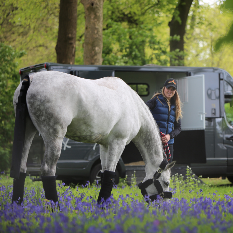 Bandes De Repos Kentucky Noir