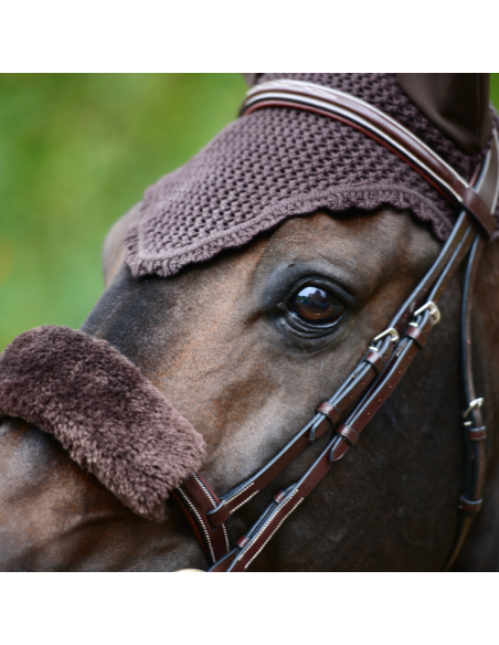 Bonnet Kentucky Marron