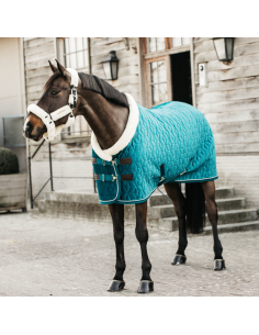 Kentucky Velvet 160g Stable Rug 2