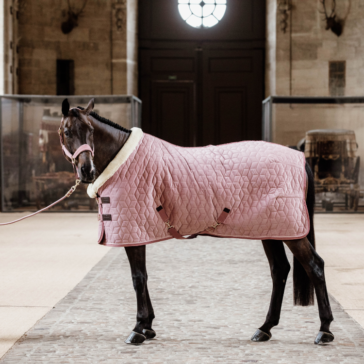 Écharpe En Velours - Ensemble/outfit Femme, Neuf Avec étiquettes