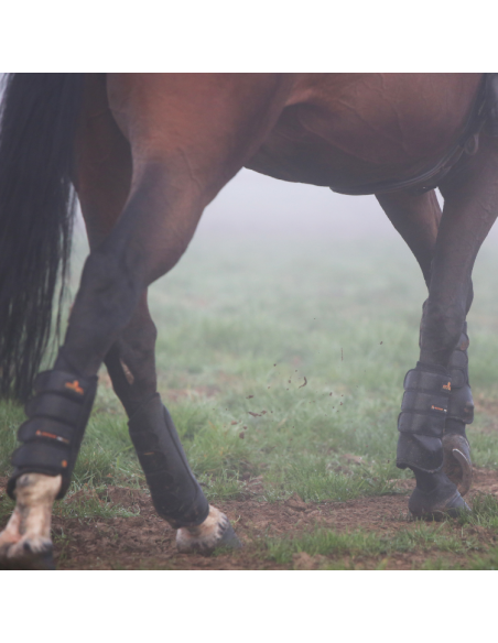 Guêtres Antérieures Kentucky Eventing Air Tech