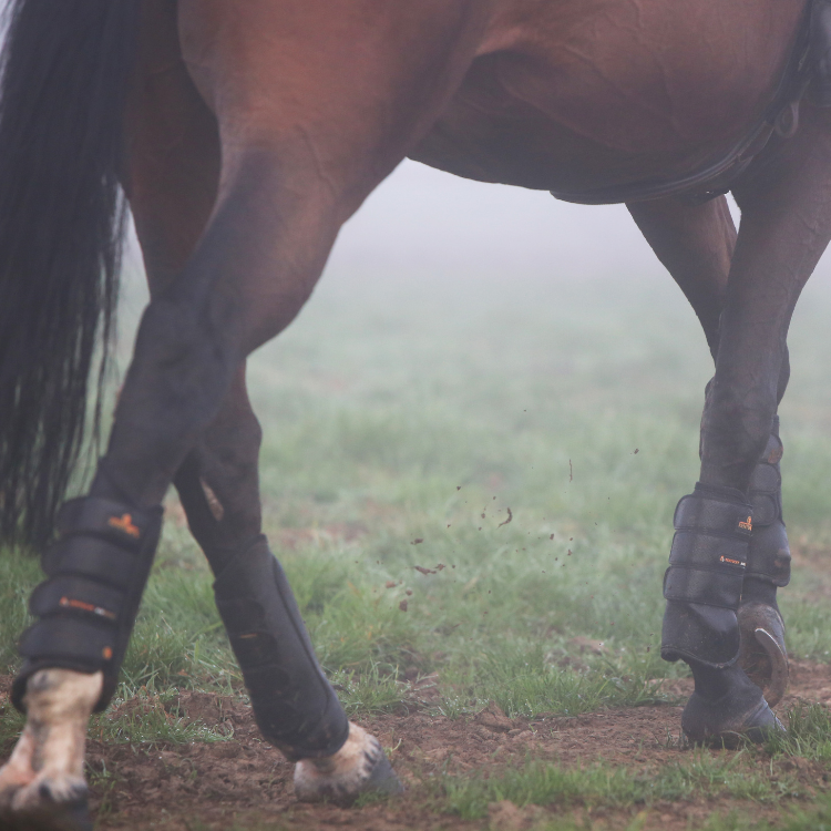 Guêtres Antérieures Kentucky Eventing Air Tech