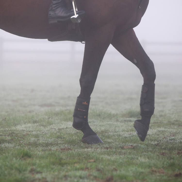 Guêtres Antérieures Kentucky Eventing Air Tech