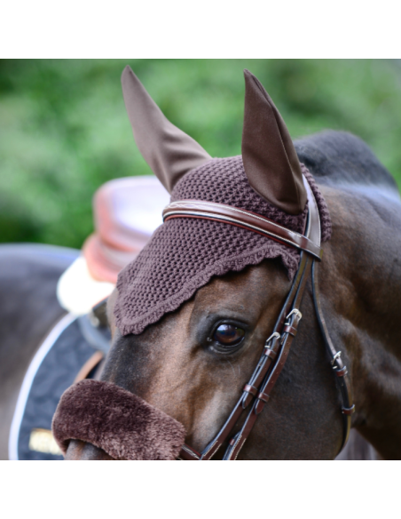 Bonnet Kentucky Marron