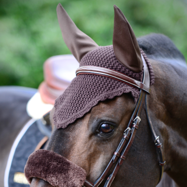 Bonnet Kentucky Marron