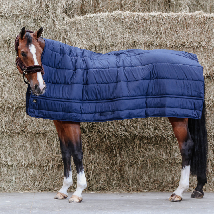 Sous-couverture Kentucky Horse Duvet Marine