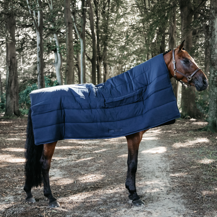Sous-couverture Kentucky Horse Duvet Marine