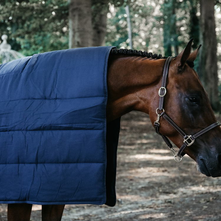 Sous-couverture Kentucky Horse Duvet Marine