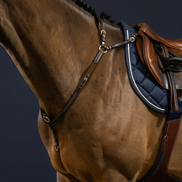 Collier de haubanage 2 points - double paroi - TEC-DW-STANDARD