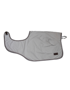 Kentucky Reflective Exercise Sheet