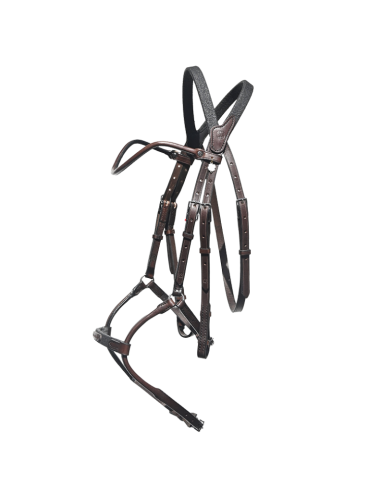 IHWT Evolution Infinity Disco Bridle