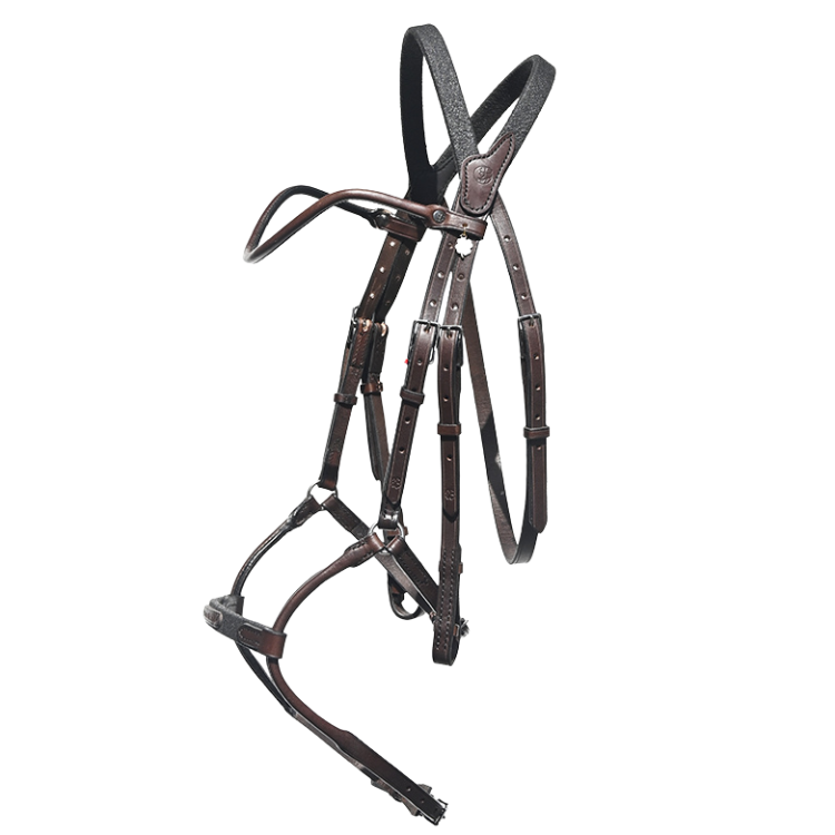 Bridon IHWT Evolution Infinity Disco