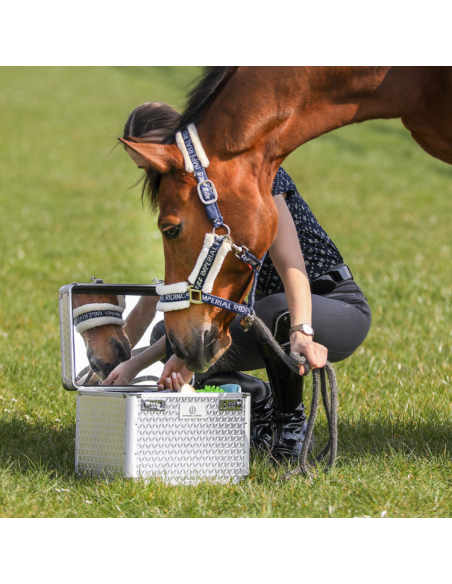 Boite De Pansage Imperial Riding Shiny ARGENT