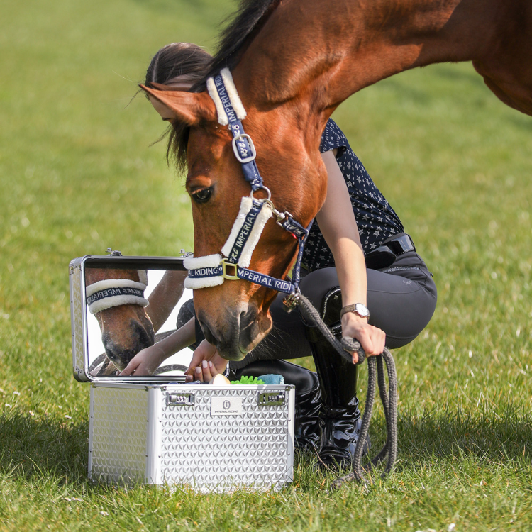 Boite De Pansage Imperial Riding Shiny ARGENT