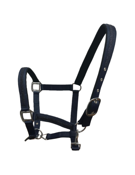 Licol Flags & Cup Atamik Marine