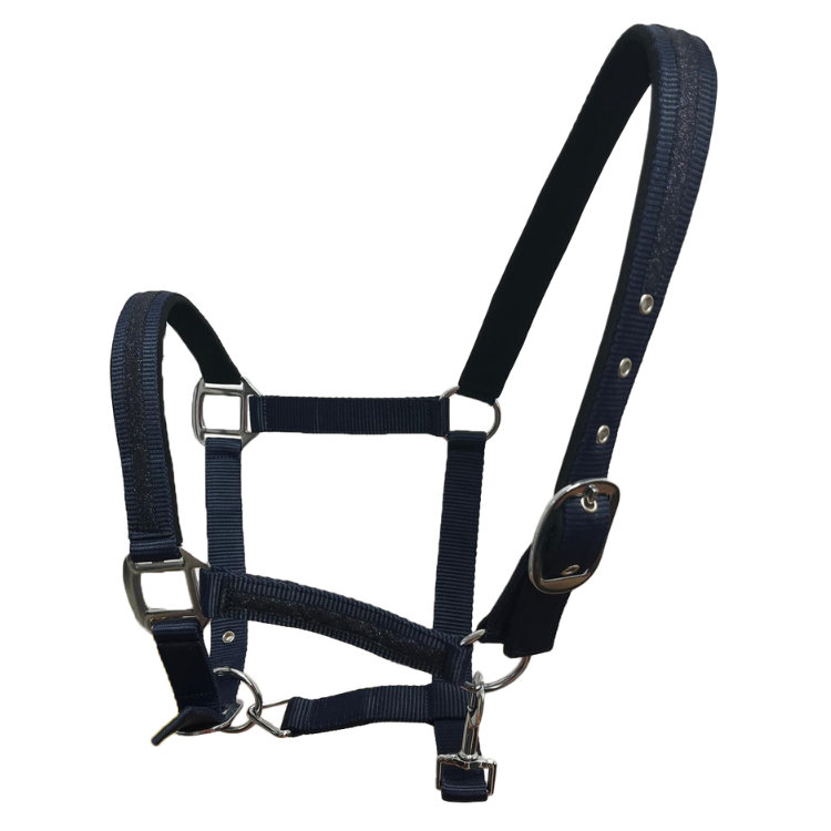 Licol Flags & Cup Atamik Marine