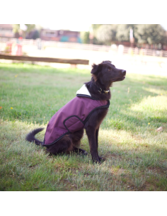 Flags & Cup Atamik Dog Coat Navy 2