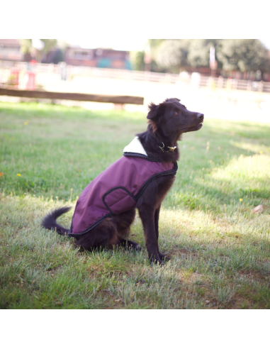 Manteau Pour Chien Flags & Cup Atamik Prune