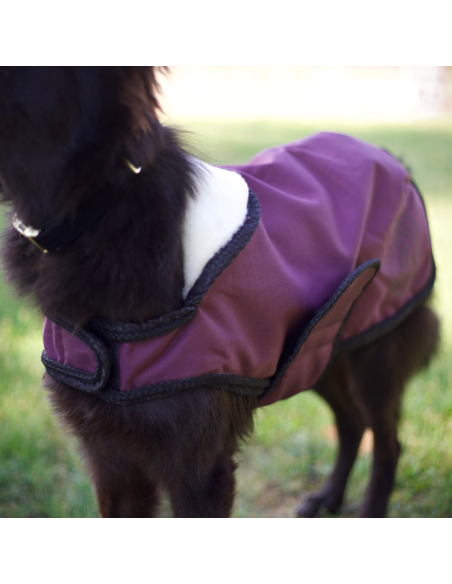 Manteau Pour Chien Flags & Cup Atamik Prune