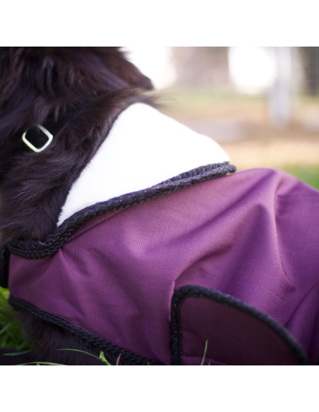 Manteau Pour Chien Flags & Cup Atamik Prune