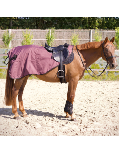 Flags & Cup Atamik Exercise Sheet Navy 2