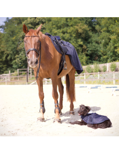 Manteau Chien Manteaux Couvertures pour Chien