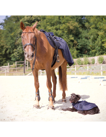 Manteau Pour Chien Flags & Cup Atamik Marine