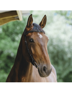 Bridon Norton Freedom Noir