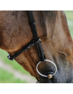 Bridon Norton Freedom Noir 2