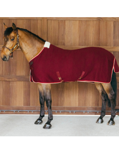 Chemise Séchante Kentucky Protherm Bordeaux 2