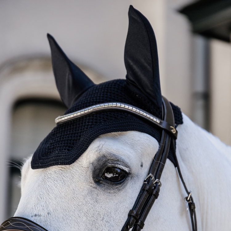 Bonnet Kentucky Wellington Noir