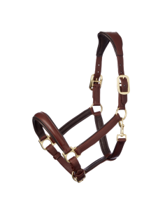 LeMieux Anatomic Halter 2