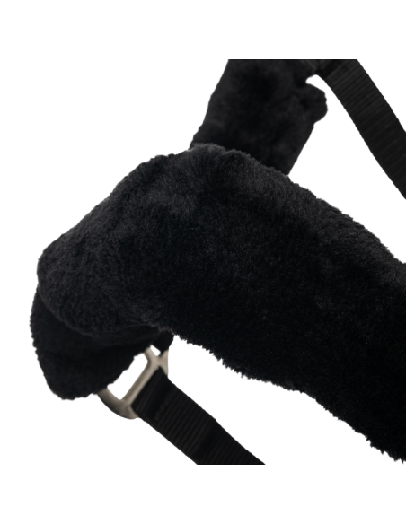 Licol LeMieux Comfort