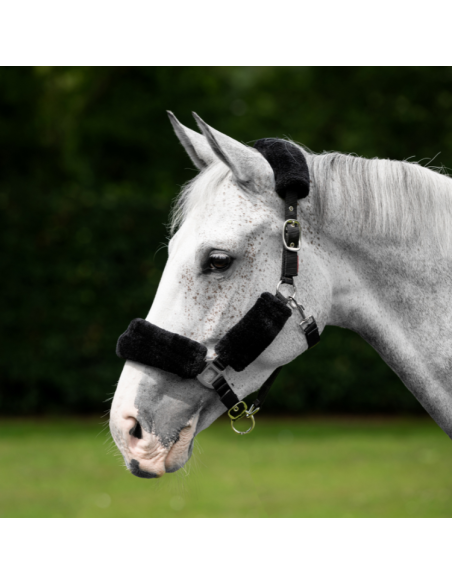 Licol LeMieux Comfort