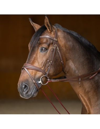 Rênes Allemandes HFI Cuir & Corde Marron