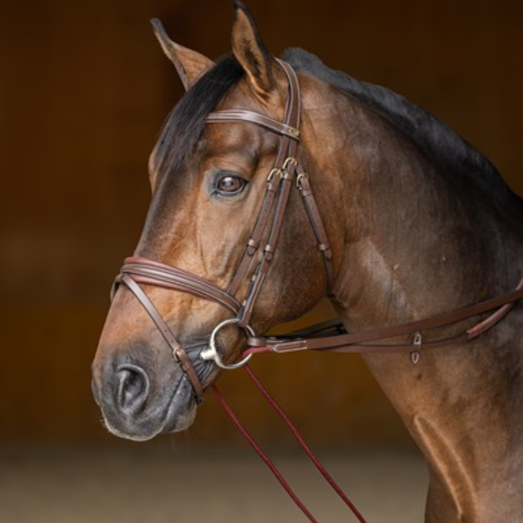 Rênes Allemandes HFI Cuir & Corde Marron