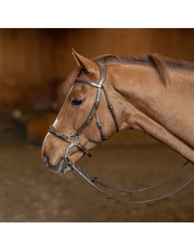 HFF Hackamore Bridle Brown