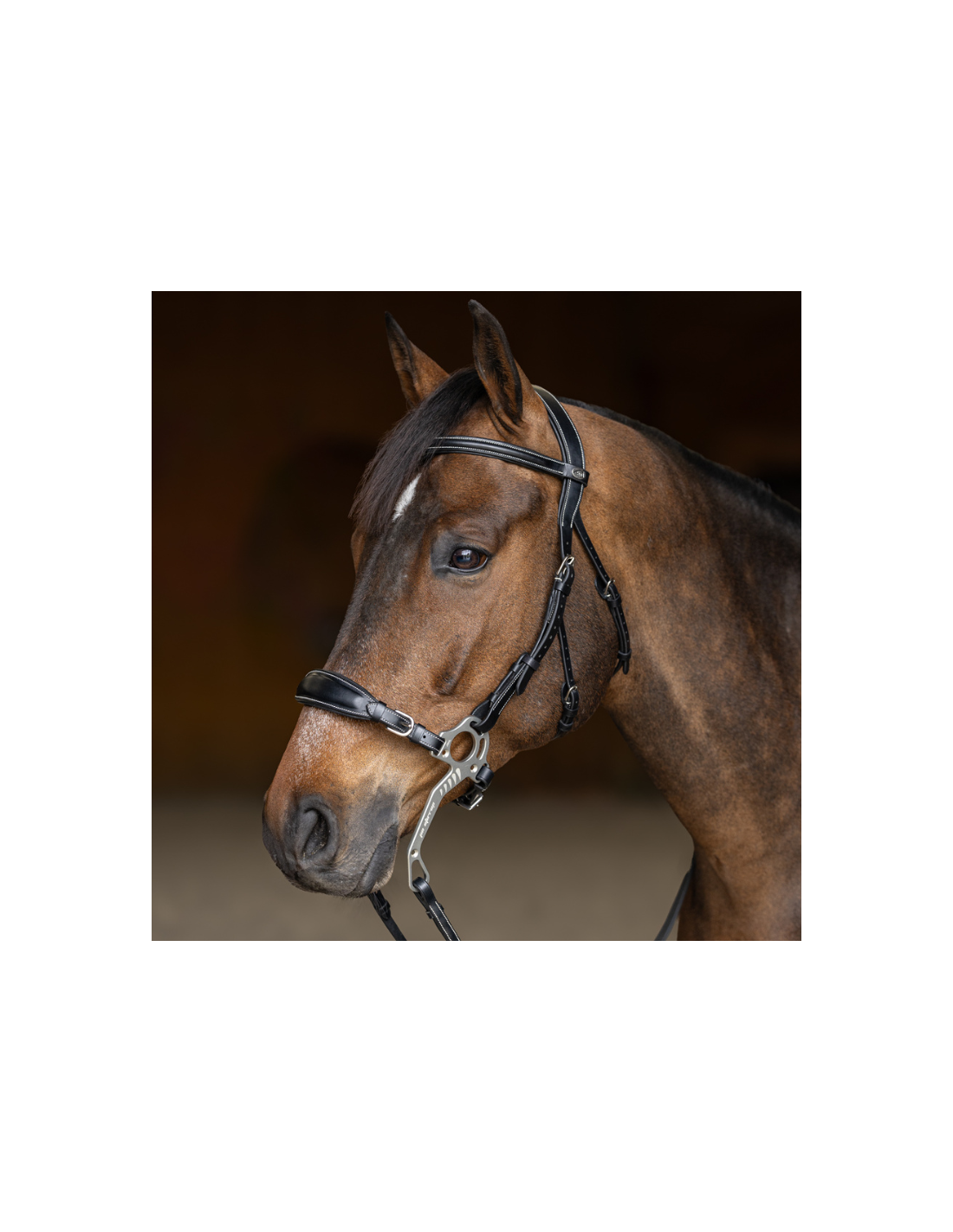 Mors Hackamore - Laiton Premium Et Cuir Marron - Équitation - Neuf Pakistan