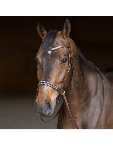 HFI Freedom Bistless Bridle Brown