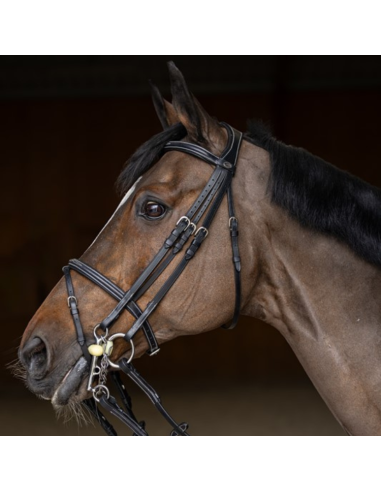 HFF Double Jump Bridle Black