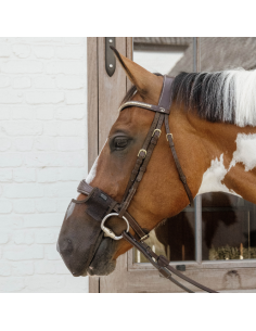 Kentucky Anti Fly Nose Net Black 2