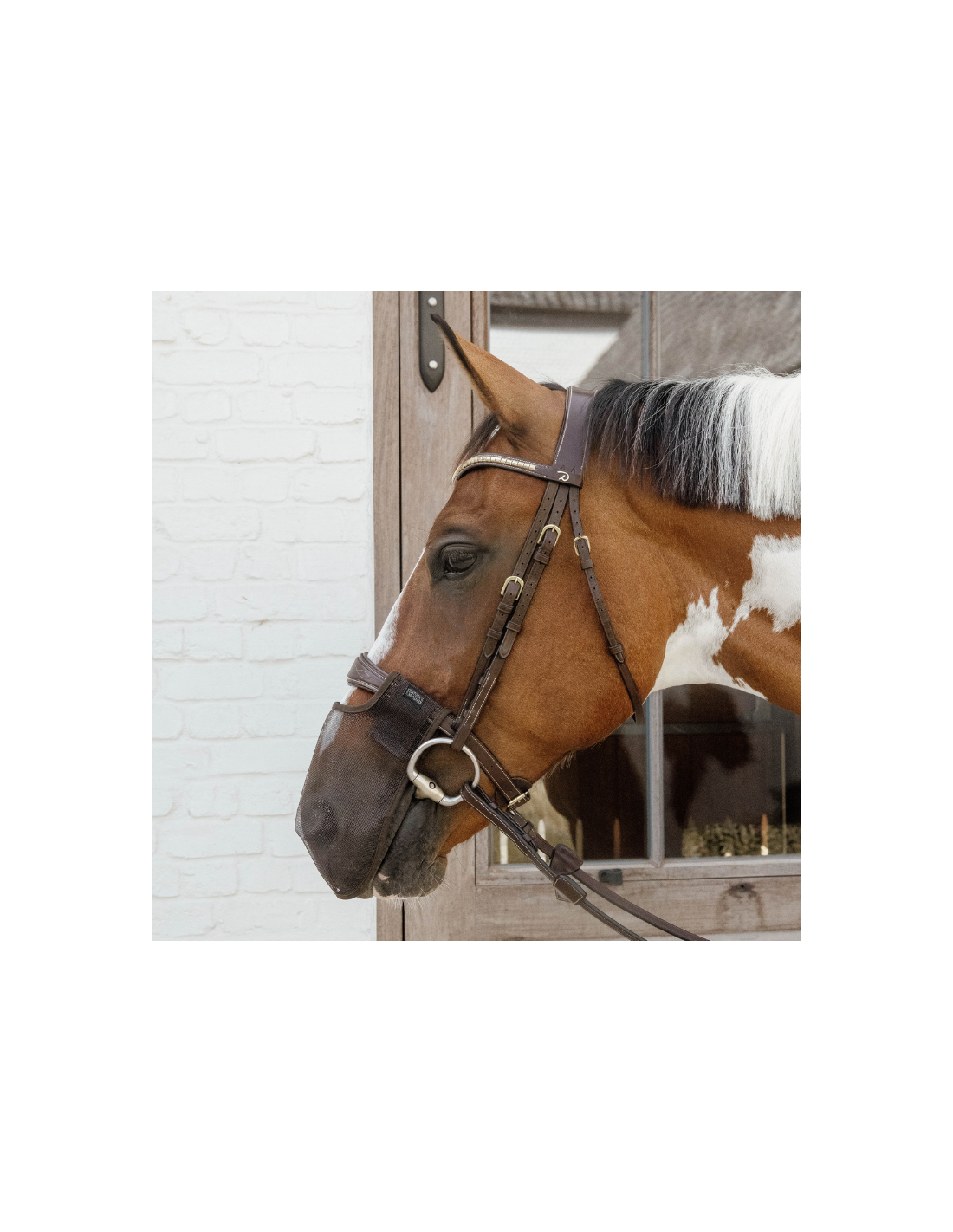Un Drôle De Nez De Cheval En Gros Plan Sur Le Thème Des Animaux De La