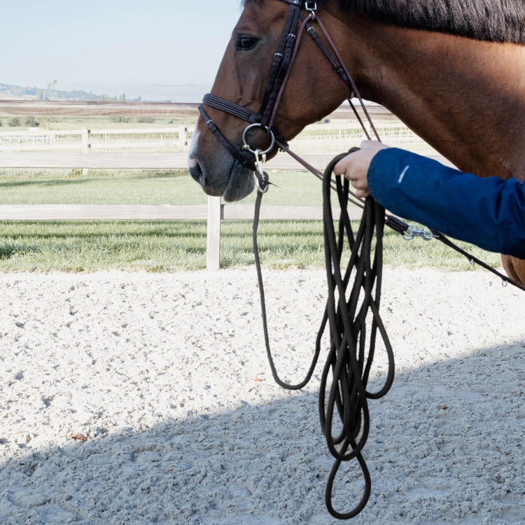 KERBL Longe De Travail Cheval Brun/Bleu Clair 8m - Longe Souple Et Robuste