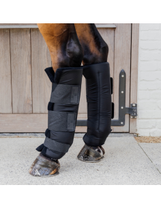 Kentucky Stable Boots PROtect Classic Hind Black 2