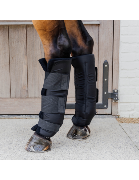 Stable Boots Kentucky PROtect Classic Postérieurs