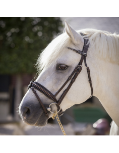 Penelope "Eden" Bridle Black 2