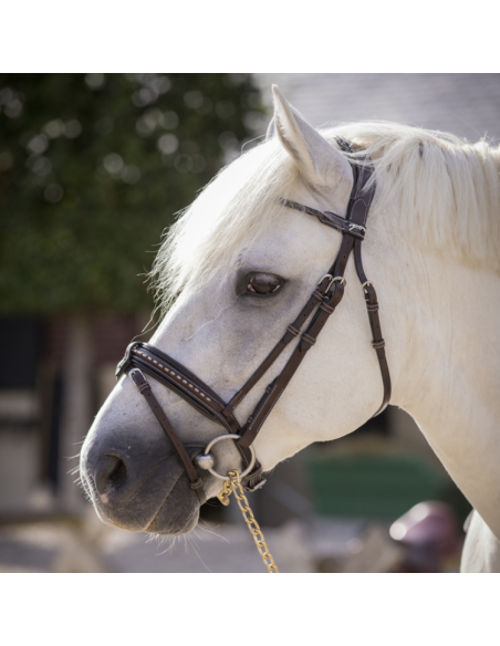 Bridon Penelope Eden Havane