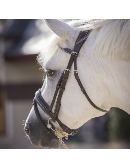 Bridon Penelope Eden Havane