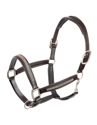 Animo Usher 24W Halter Brown